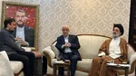 فرزند حمید نوری: پدرم عصر امروز از فرودگاه مهرآباد وارد کشور می‌شود