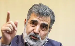 تصاویر / دیدار رافائل گروسی با امیرعبداللهیان