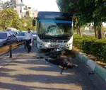 یک کشته و ۴۸ مصدوم در تصادف سواری با اتوبوس