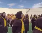 انتقاد آیت‌الله مکارم‌ از یک برنامه تفرقه‌انگیز شبکه ماهواره‌ای