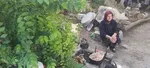 دانستنی‌های عجیب و جالب درباره مار‌ها