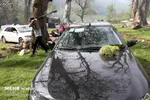 دستورالعمل سازمان مدیریت بحران تهران برای روز طبیعت