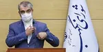 جمعی از نمایندگان مجلس کشتی‌های کمک‌رسانی را تا یمن همراهی می‌کنند