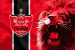 آغاز تمرینات پرسپولیس با چند غایب بزرگ