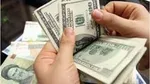 مصباحی‌مقدم: بسیاری از کالا‌های وارداتی به دلار ارتباطی ندارد