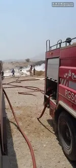 سرگز لرزید