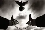 پایان پروندهٔ ۱۰۰ میلیارد تومانی زن ۹۰ ساله در مازندران
