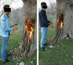 عکس | گالری زنده طبیعت؛ چیدمان‌هایی که نفس می‌کشن