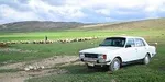 برند معنی‌دار یخچال و تلویزیون یک نماینده +عکس