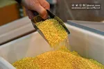 قیمت سکه و طلا در پایان اولین هفته اردیبهشت ۱۴۰۵| طلا در کف حساس قیمتی قرار گرفت + جدول