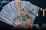 ضرر ۲۰ میلیونی خریداران ارز با کارت ملی/ بازار پرخطر باز هم قربانی گرفت
