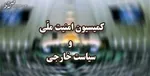 ارجاع لایحه ساماندهی پهپادهای غیرنظامی به کمیسیون امنیت ملی