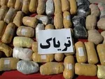 کشف ۳ هزار عقرب از یک منزل مسکونی در مشهد