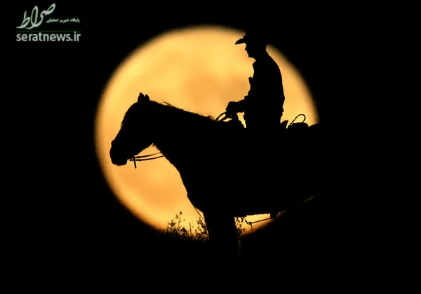 گشت زنی یک مرزبان در جنوب کالیفرنیا