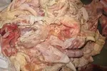 حقایقی عجیب از جنین که شما را انگشت به دهان می‌کند