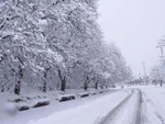 یخبندان فراگیر در ۲۸ استان