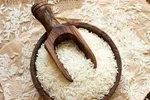 برنج ۴۸ هزار تومانی وارد بازار شد؛ ترکیان: برنج ارزان را از کجا می‌توان خرید؟