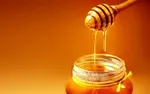 مولکولی که می‌تواند از چاقی پیشگیری کند
