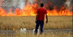 آغاز «بحرانِ آبِ تهران» / رگ حیات پایتخت زیر تیغ بی‌توجهی