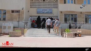 تصاویر/گربه‌ها یک داعشی را خوردند