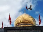 رئیس سازمان حج و زیارت: اعزام زائران سوریه از ۱۲ دی ماه آغاز می‌شود