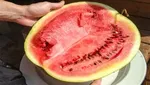 عجیب‌ترین مضرات و فواید مصرف تن ماهی