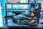 شعار مشترک هیات‌ها در محرم ۱۴۰۴ اعلام شد