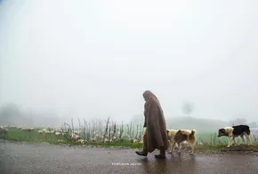 تصاویر/ نی گاه؛ دره‌ای بکر و تماشایی