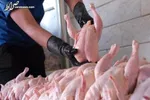 تاثیر اقتصاد جهانی بر قیمت مواد غذایی در سال ۲۰۲۳