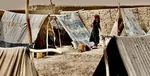 انگلیس قواعد پناهندگی را تشدید می‌کند