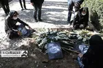 دل‌نوشته مریلا زارعی برای خاکسپاری محمدرضا شجریان