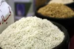 زورآزمایی مافیای بازار با دستگاه‌های نظارتی