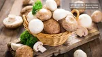 مسمومیت مرگبار ۵ کرمانشاهی با قارچ‌های سمی