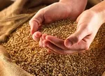 قیمت گوشی تلفن همراه در بازار امروز ۹۷/۶/۳ +جدول