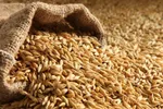 ماجرای فلفل‌های بازگشتی ایران از روسیه چه بود؟