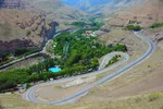 گورخر آبستن قربانی لاستیک‌های خودرو پراید + عکس