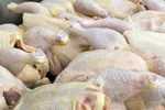 مرغ ارزان شد؛ ۸ هزار تومان زیر نرخ مصوب