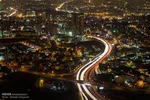 حیاتی‌ترین تاثیرات جنگل‌ها بر زندگی انسان
