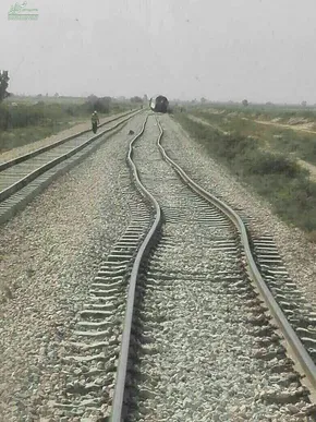 فیلم/ هجوم خرس‌ها به استخر از شدت گرما