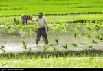 کلانتری ،حجتی و اسکندری، دو روی یک سکه؟