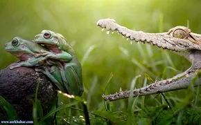 عکس/ تبریک سال نو به سبک مسی