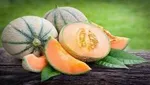 چطور کودک ۹ ساله را برای روزه گرفتن آماده کنیم؟