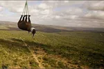 عکس / نمایی از صورت یک کرگدن سفید