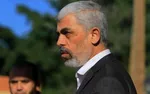 تله مرگ در بیمارستان ناصر ؛ جنایت سازمان‌یافته