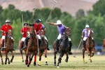 تاجرنیا مدیرعامل باشگاه استقلال شد