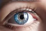 این مواد غذایی به سلامت چشم‌ها کمک می‌کنند!