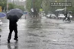 هشدار نارنجی برای شرق کشور | وقوع طوفان گرد و خاک