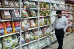 قیمت برنج از ۱۰۰ هزار تومان گذشت