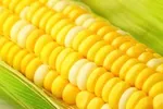 نوسان قیمت مرغ در راه است