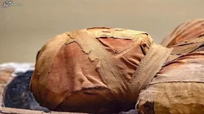 تصاویر / به نمایش گذاشتن ۲۵۰ مومیایی در مصر